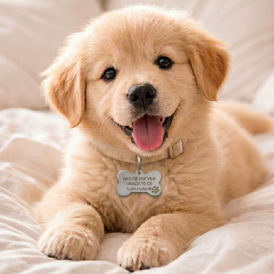 Personalized stainless-steel dog ID tag | Mini Bone