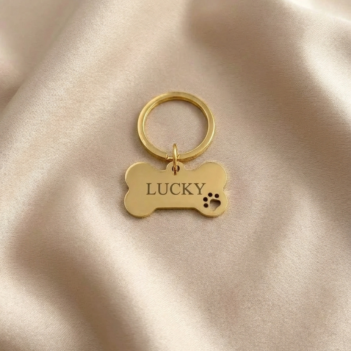 Personalized stainless-steel dog ID tag | Mini Bone