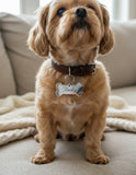 Personalized stainless-steel dog ID tag | Mini Bone