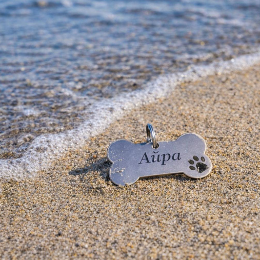Personalized stainless-steel dog ID tag | Mini Bone